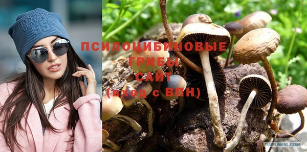 гашик Богородицк