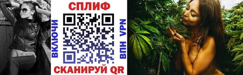 Марихуана THC 21%  где купить наркоту  Славгород 